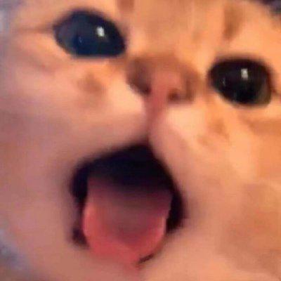 头像｜可爱卡通少女头像，超稀有女生可爱卡通头像甜美第187期