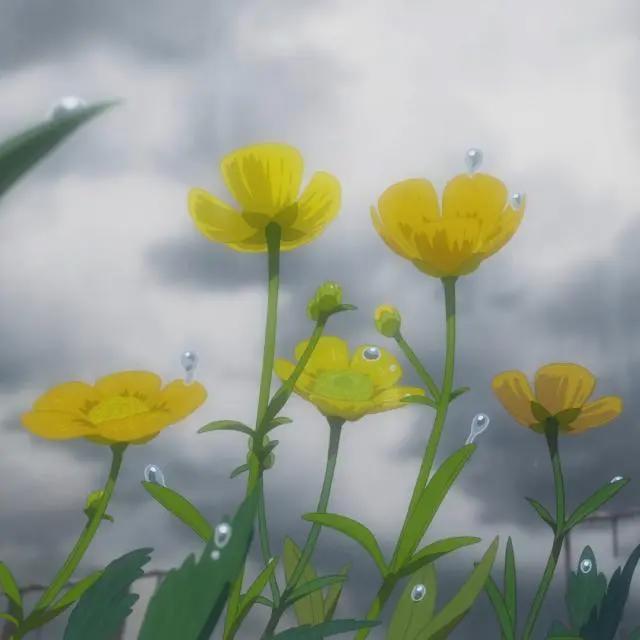动漫头像精选，国漫与日漫都有，你心水哪一款？