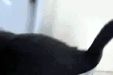 有没有和我一样的，喜欢动漫美女的