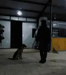 有没有和我一样的，喜欢动漫美女的