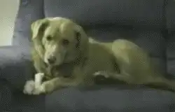 有没有和我一样的，喜欢动漫美女的