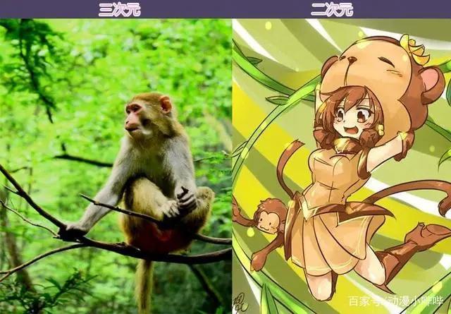 当三次元化身二次元，为什么大家都喜欢二次元？