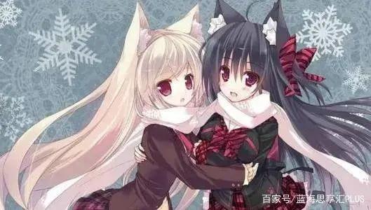 深入研究二次元（上篇）