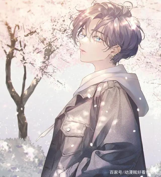 二次元樱花系列，实在太甜美，喜欢快收藏啦！