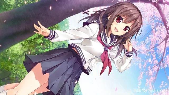 二次元到底是什么呢