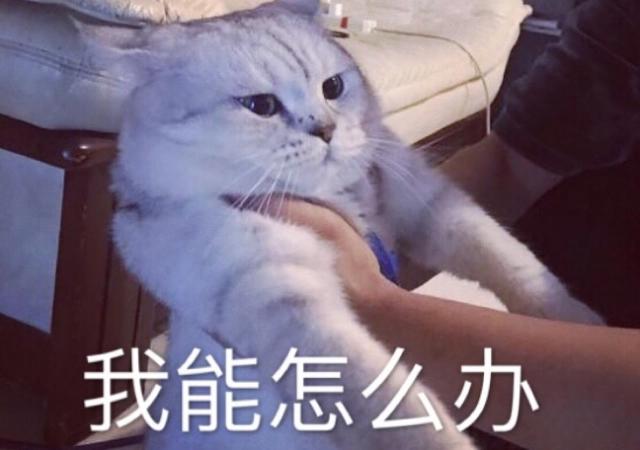 二次元并非真实存在，但宅男们依然对二次元里的女生死心塌地