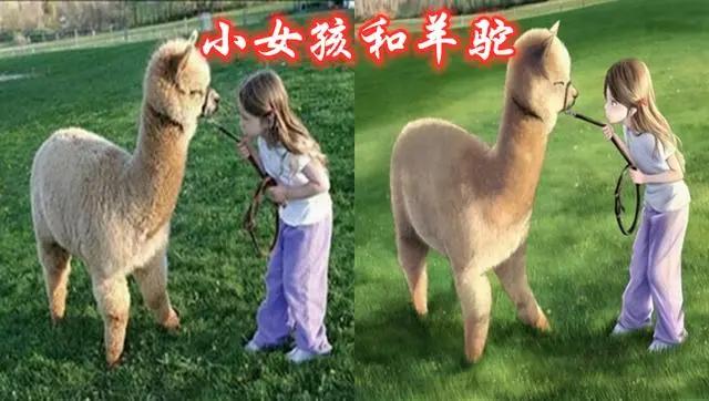 三次元VS二次元，看完这些或许你就明白，为何有人更加偏爱二次元