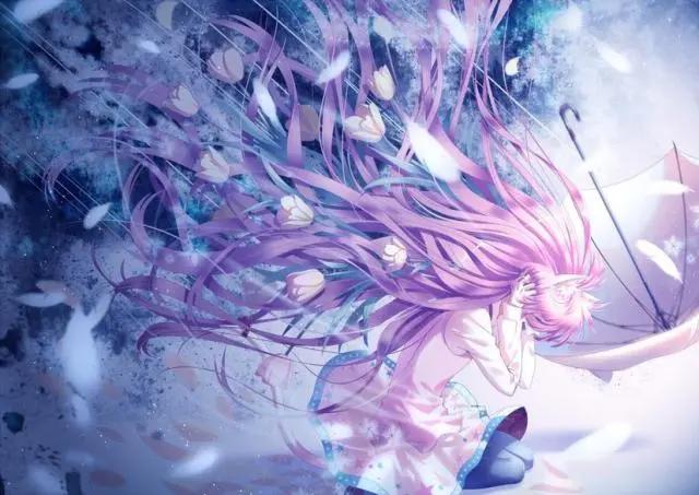 对二次元有偏见，带你走进二次元世界，了解最美二次元文化