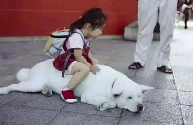 你为何喜欢二次元？看完这些图片，找到原因了！