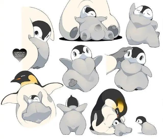 动漫中的帅哥美女看腻了，来看看小鸟们吧，可爱又治愈