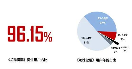 《2019年二次元游戏用户行为分析报告》(全文5000字)