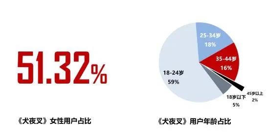 《2019年二次元游戏用户行为分析报告》（全文5000字）