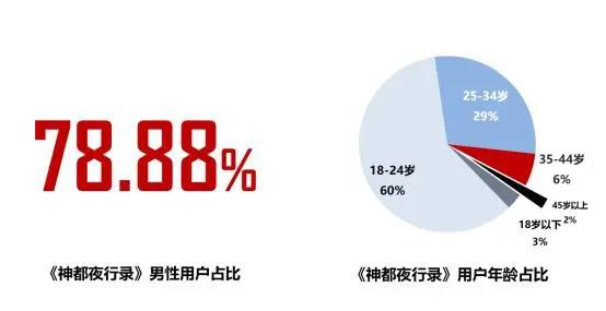 《2019年二次元游戏用户行为分析报告》（全文5000字）