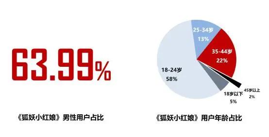 《2019年二次元游戏用户行为分析报告》（全文5000字）