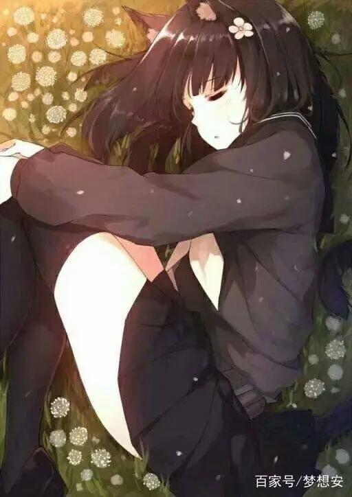 只有二次元的我们才懂二次元的心