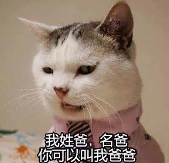 年度盘点：二次元的快乐，也太太太太太简单了吧