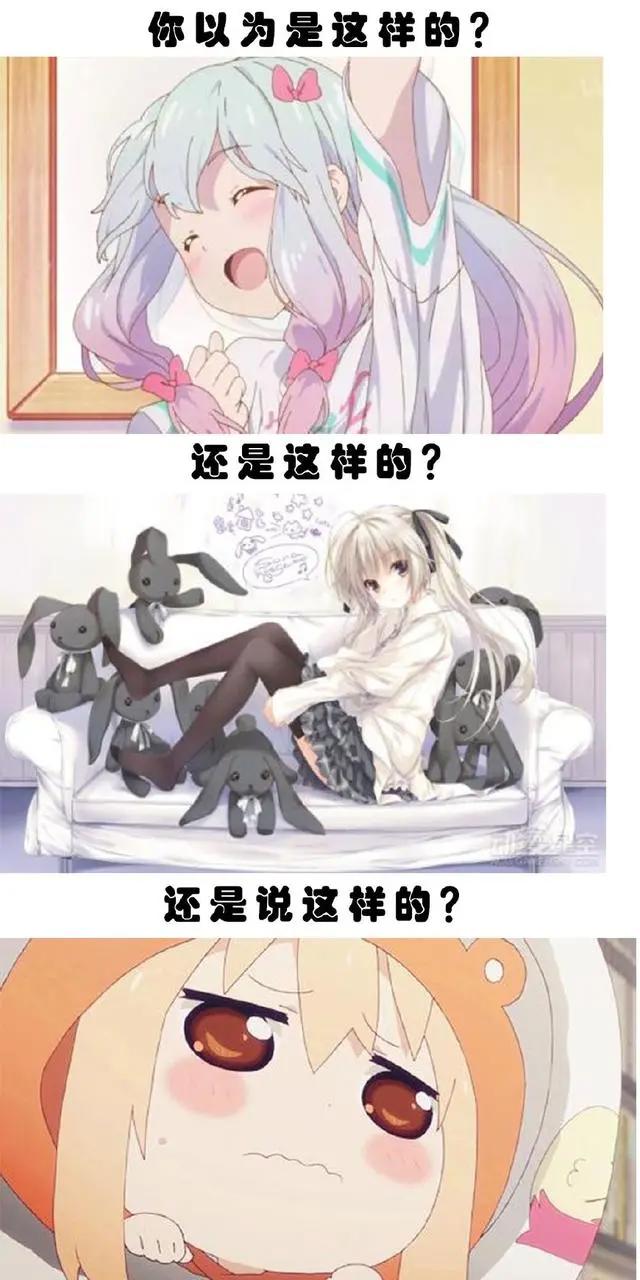 当一名合格的二次元，有什么必须知道的事情？