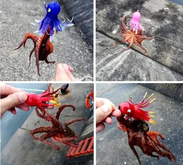 动漫里触手怪喜欢美少女的设定，可不是空穴来风，是有科学依据的