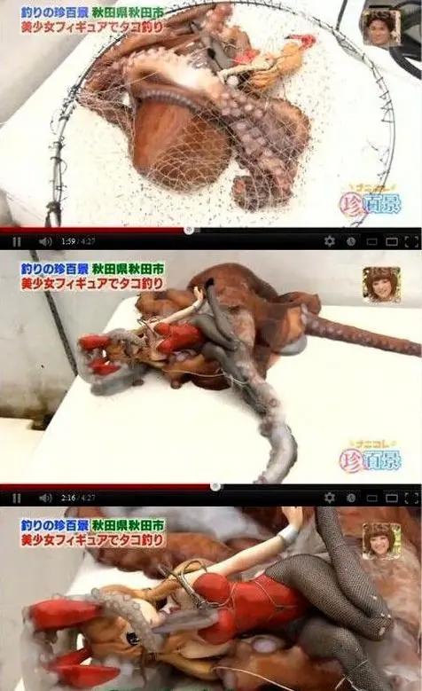 动漫里触手怪喜欢美少女的设定，可不是空穴来风，是有科学依据的