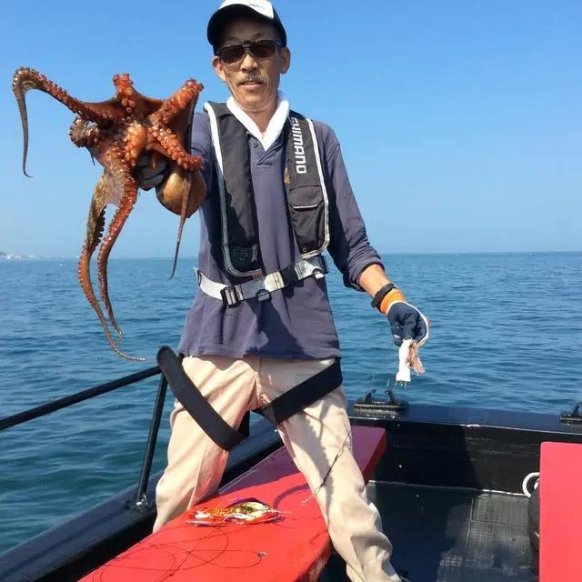 动漫里触手怪喜欢美少女的设定，可不是空穴来风，是有科学依据的