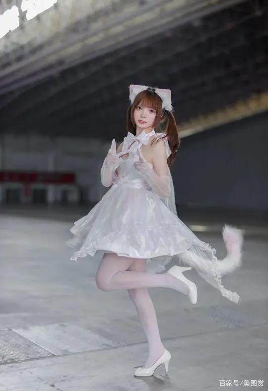 cosplay|二次元cos小美女丨闪闪发光的小猫咪