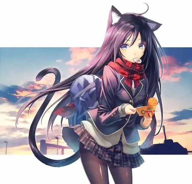 二次元美女之最美猫耳娘，有你喜欢的角色吗？