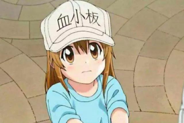 最受漫迷欢迎的七位二次元女神，你认为谁是第一？