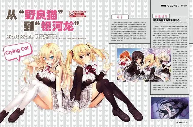 「二次元狂热」总133总览