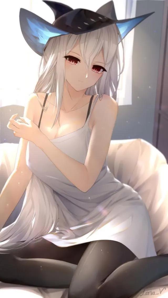 好看的二次元小姐姐，如果有你喜欢的，可自行抱走