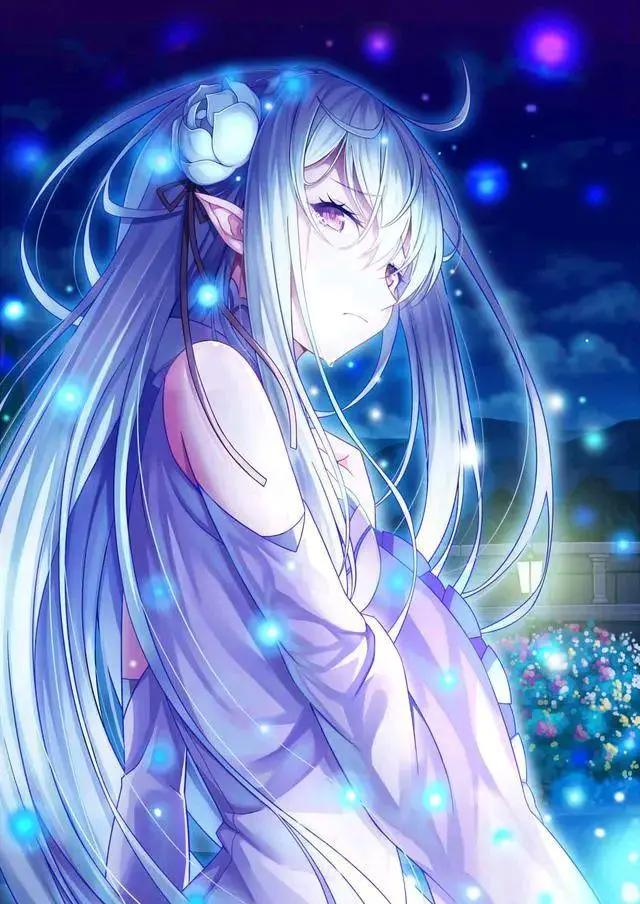 二次元的世界，只有走进来的人才懂