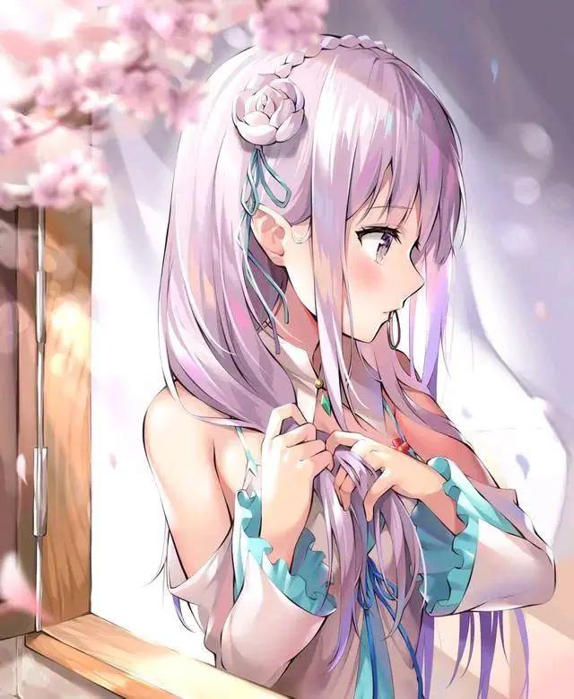 二次元的世界，只有走进来的人才懂