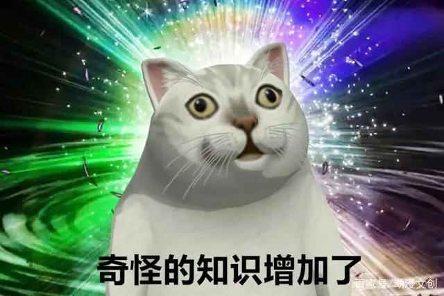 当萌新踏入二次元后，他会学到什么？他会知道“本子不再是本子”