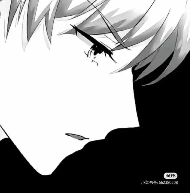 眼神杀！国服野王都在用的黑白动漫男头像