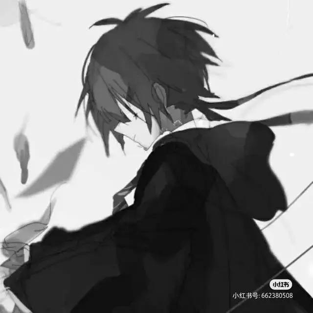 眼神杀！国服野王都在用的黑白动漫男头像