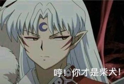 头像｜杀生丸高冷帅气动漫男神头像