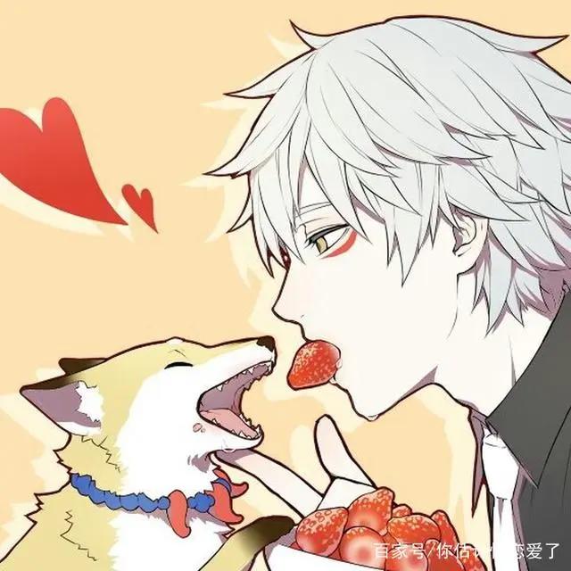 动漫男头像精选推荐