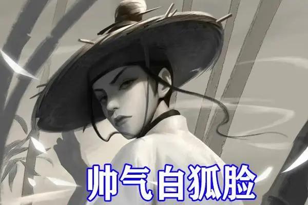 雪中悍刀行：五大女神动漫形象来袭，青鸟太拉风，乃甲鱼幼薇瞩目