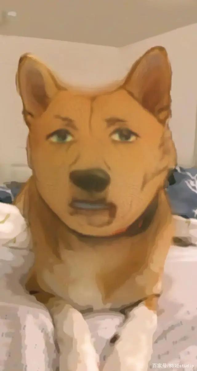 让人变成纸片人的动漫滤镜火了