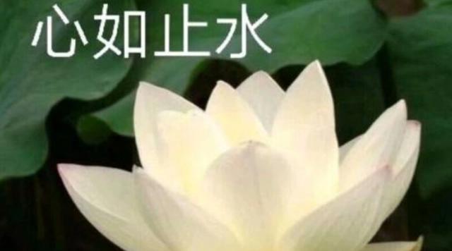 二次元头像泛滥，折木成渣男代表？这绝对是折木被黑的最惨的一次