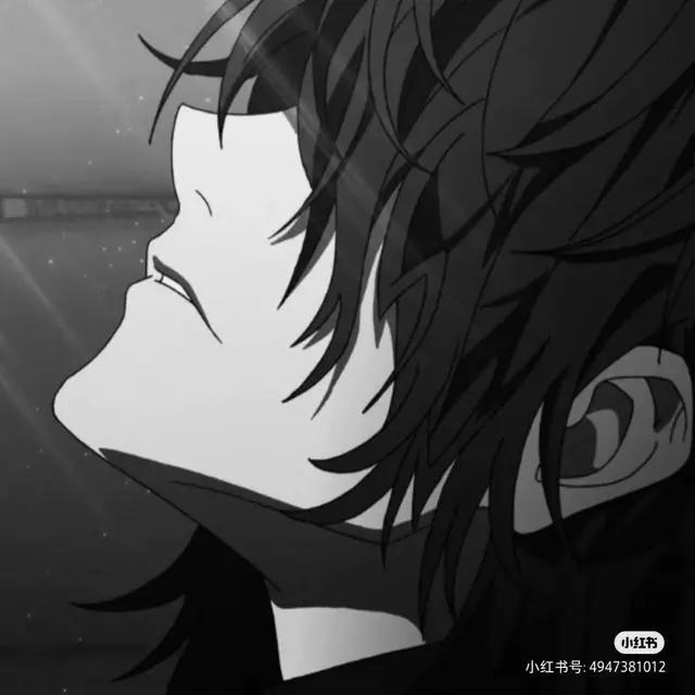 黑白动漫男头像，冷酷霸气，野王专用