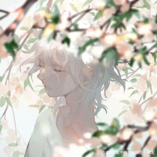 动漫男头白发动漫小哥哥哦～