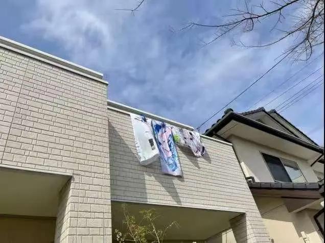 动漫美少女抱枕，那么受宅男欢迎，却怕被“公开处刑”？