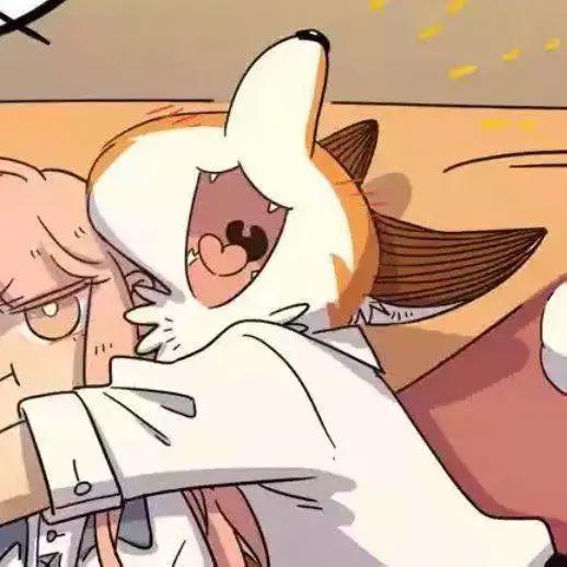 废柴狐阿桔系列头像！超好看