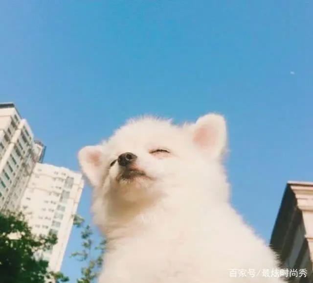 Ins·暖色·女头：“我揽不住要走的风抱不住整片天空”