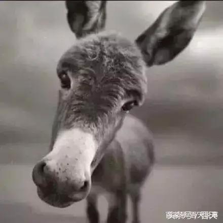 哪些头像一看就是渣女？不说了，我去换头像了！