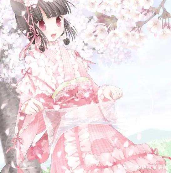 动漫女头：我引以为傲的是大脑，可不是脸蛋！