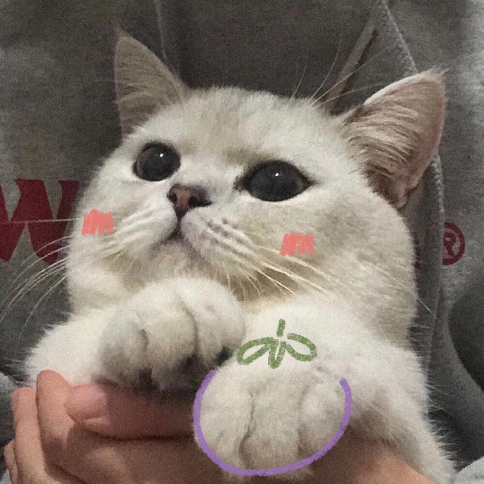 有没有可爱又不明显的情侣头像？