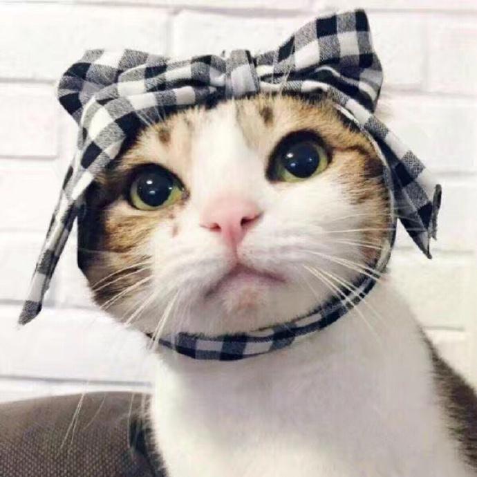 有没有可爱又不明显的情侣头像？