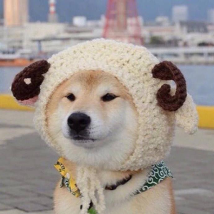 进来收藏！超级好看超级甜的情侣头像精选合集~