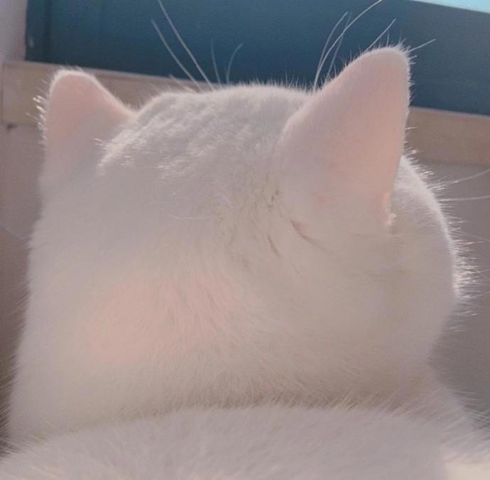 进来收藏！超级好看超级甜的情侣头像精选合集~